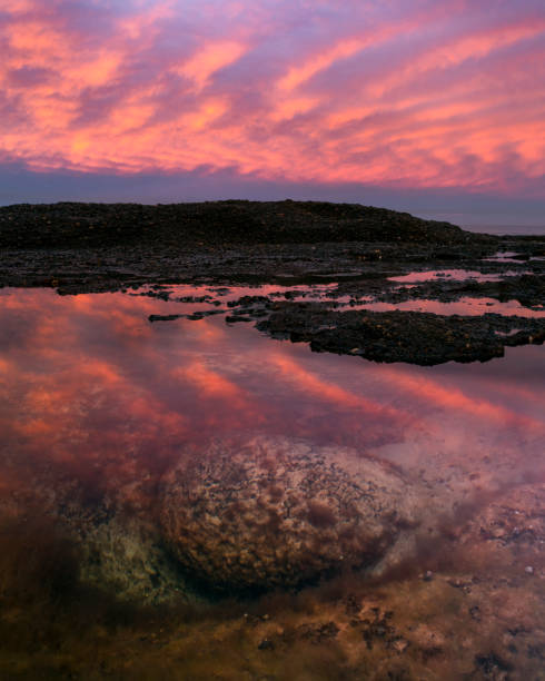 Beautiful sunrise by the Ocean Beautiful sunrise by the Ocean, Sydney Australia bondi beach sunrise stock pictures, royalty-free photos & images