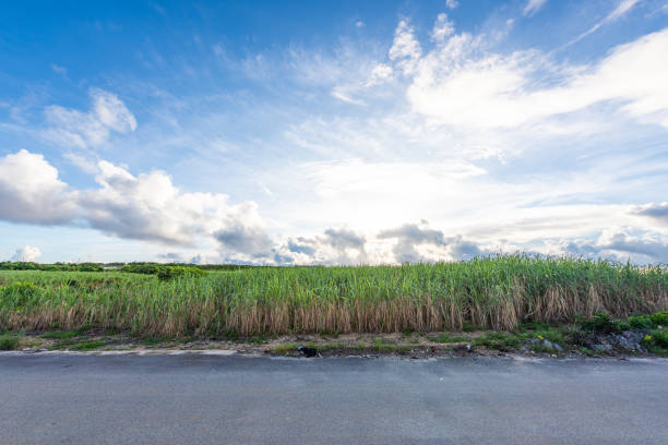 Miyakojima, Japan