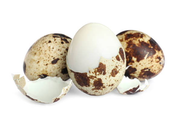 istock Boiled quail eggs and pieces of shell isolated on white 1694458007