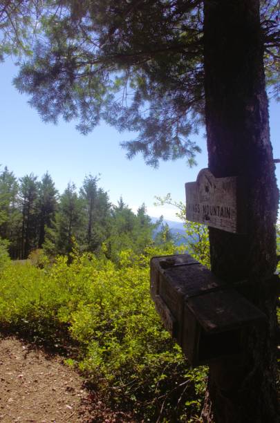 istock Trail marker mostly in shadow on mountain hiking path 1694463944