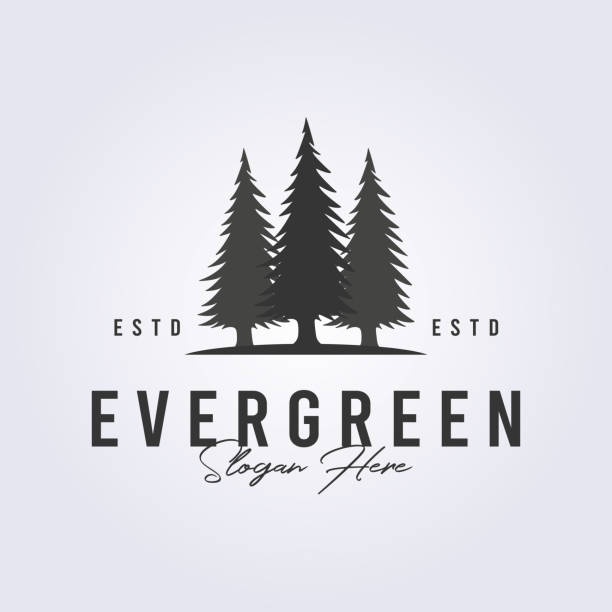 ilustrações, clipart, desenhos animados e ícones de logotipo evergreen ícone de árvore de pinheiro símbolo vetor ilustração design - pine tree forest summer evergreen tree