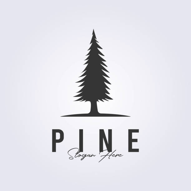 ilustrações, clipart, desenhos animados e ícones de logotipo evergreen ícone de árvore de pinheiro símbolo vetor ilustração design - pine tree forest summer evergreen tree
