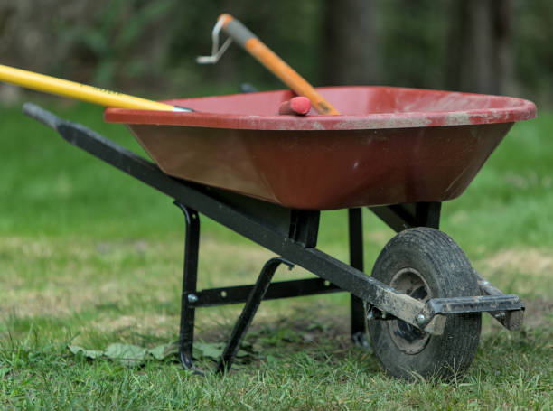 istock red wheelbarrow cart with garden tools inside (rake, shovel, handles sticking out) dirty yard work 1694482022