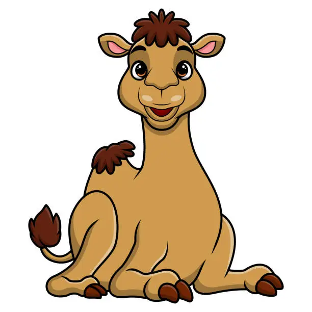 Vector illustration of Cute camel cartoon on white background