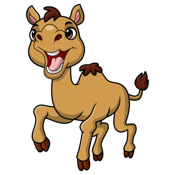 Vector illustration of Cute camel cartoon on white background