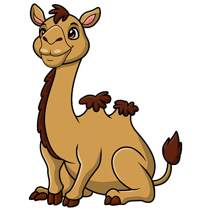 istock Cute camel cartoon on white background 1694490074