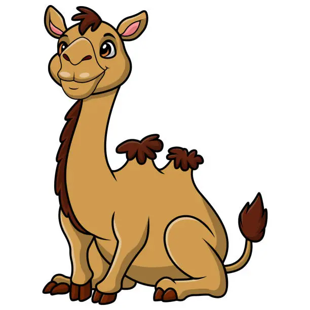 Vector illustration of Cute camel cartoon on white background