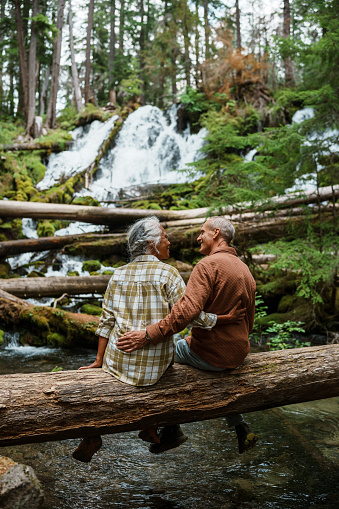 A multiracial senior couple affectionately embrace and smile at each other while sitting on top of a log which is suspended over a mountain stream at the base of a waterfall cascading down moss covered rocks surrounded by lush vegetation in a forest in the Pacific Northwest.