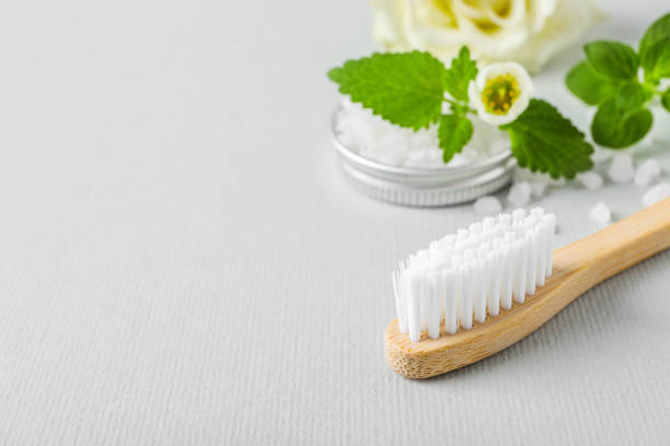 istock Toothbrush, salt and herbs on white background, closeup. Space for text 1694519541