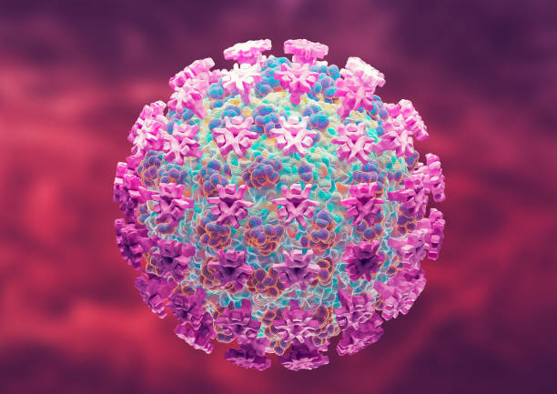 istock Omicron Eris EG.5 coronavirus new variant concept. Coronavirus Variant outbreak and Covid-19 subvariants as a mutating virus 1694520594