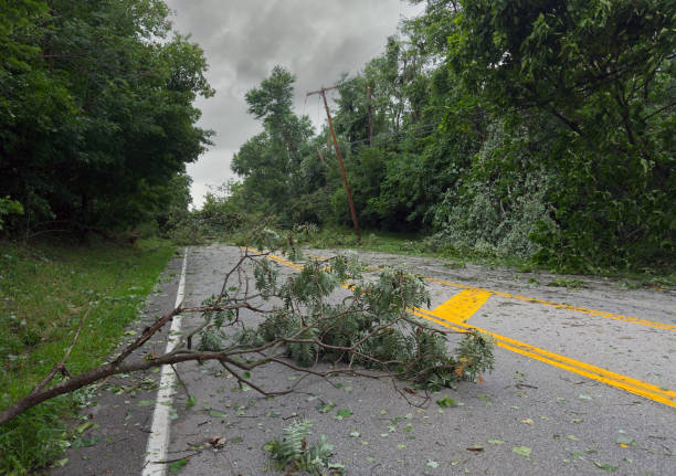 istock Storm damage on street 1694570397