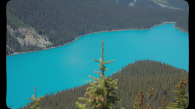 Turquoise water of Peyto Lake in the Canadian Rocky Mountains