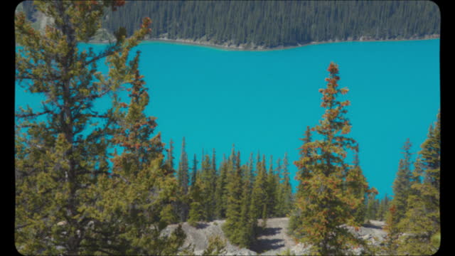 Blue water of Peyto Lake in the Canadian Rocky Mountains