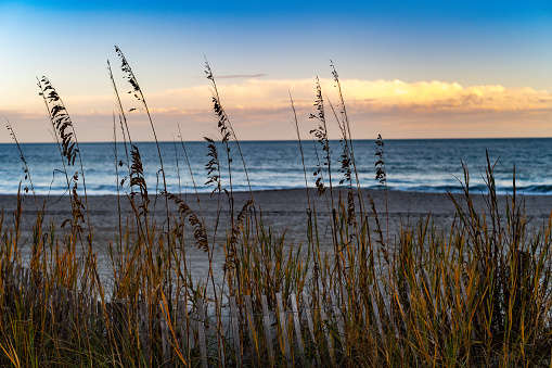 Carolina Beach during golden hour