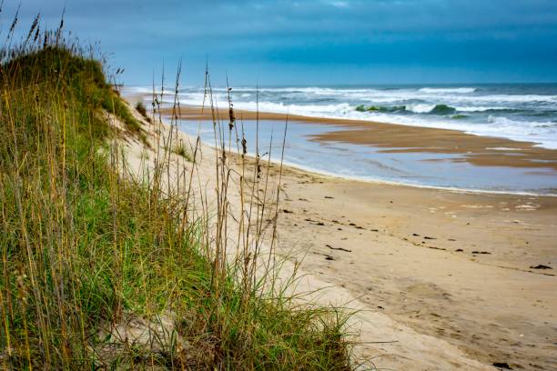 istock Pea Island Beach NC obx 1694653513