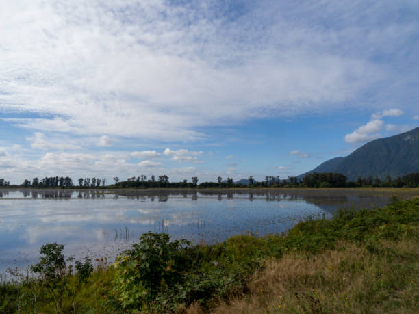 istock Grant Narrows Park at Pitt-Addington Marsh 1694675461