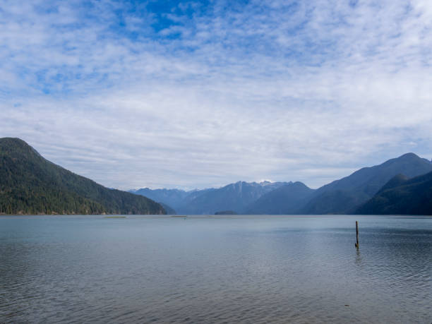 istock Grant Narrows Park at Pitt-Addington Marsh 1694675464