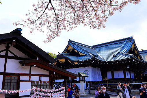 Tokyo, Japan- April 2nd, 2023: Yasukuni Jinja (Shinto-style shrine) with spring cherry blossom (sakura ) in Chiyoda City, Tokyo, japan