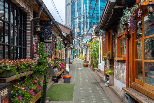 seoul has many pedestrian streets were you can find cafes and restaurants seoul, south korea. 3rd july, 2023: views of famous Myeong-Dong Walking Street in seoul city kangnamgu stock pictures, royalty-free photos & images