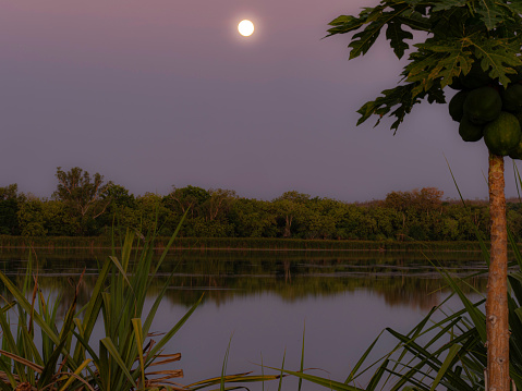 Moon over the Ord River in Kununurra in the Kimberley