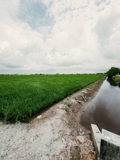 istock Tranquil scene of a vibrant green field with a river below 1694762796
