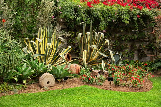 istock Tropical garden with various flowers 1694806301