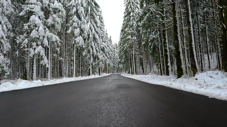 Driving on straight road trough spruce forest covered by first snow