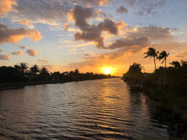 istock Scenic view of a river lined with palm trees at golden sunset 1694830784