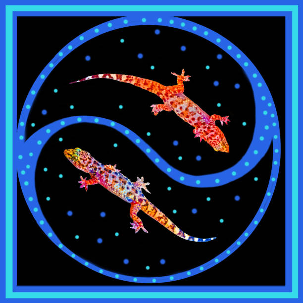 yin yang geckos in the starry sky