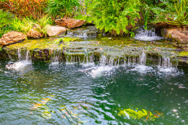 istock Style style of landscaping, waterfall, outdoor area. 1694859651