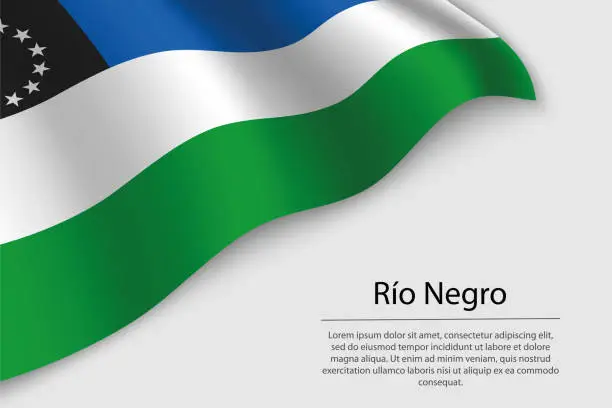 Vector illustration of Wave flag of RÃ­o Negro is a state of Argentina