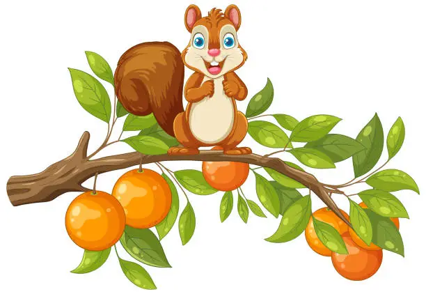 Vector illustration of Squirrel Standing on Orange Tree Branch
