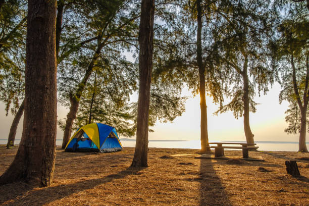 istock Spread the seaside tent for a relaxing holiday. 1694906116