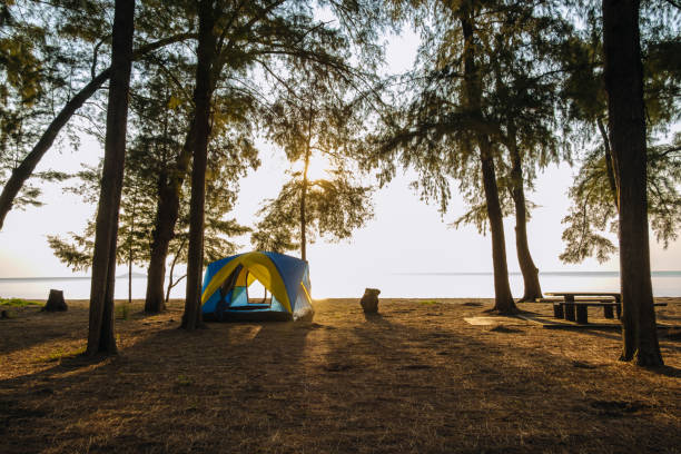 istock Spread the seaside tent for a relaxing holiday, 1694907187