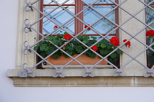 flower pots hanging from a window screen on an exterior wall