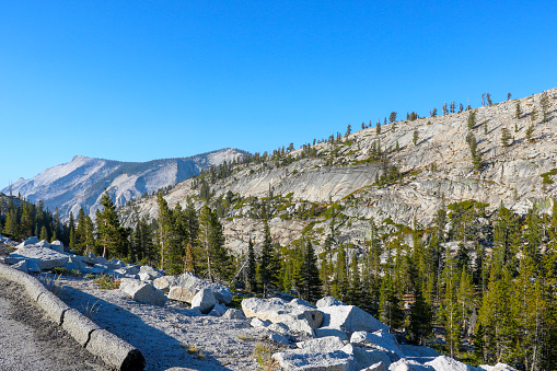 Beautiful scenic view in Yosemite Park