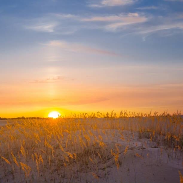 istock wide sandy prairie at the dramatic sunset 1694967840