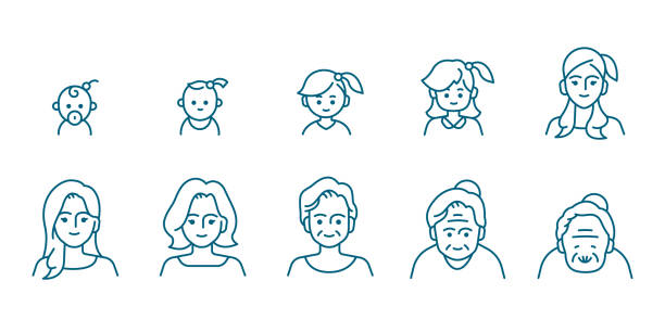 다양한 연령대의 여성 초상화, 미취학 아동, 어린이, 초등학교, 고등학생, 십대, 젊은이, 노인 일러스트레이션 수명 주기 개념. 편집 가능한 벡터 스트로크. - 다양한 나이대 stock illustrations