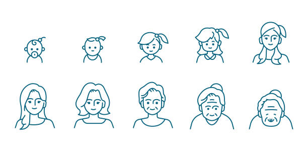 Female portrait at different ages, preschooler, kid, primary school, senior school, teenager, young, elderly illustration life cycle concept. Editable Vector Stroke. Female portrait at different ages, preschooler, kid, primary school, senior school, teenager, young, elderly illustration life cycle concept. Editable Vector Stroke. age diversity stock illustrations