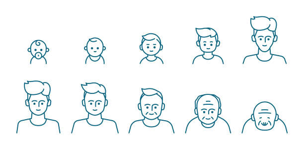 다양한 연령대의 남성 초상화, 미취학 아동, 어린이, 초등학교, 고등학생, 십대, 젊은이, 노인 일러스트레이션 라이프 사이클 개념. 편집 가능한 벡터 스트로크. - 다양한 나이대 stock illustrations