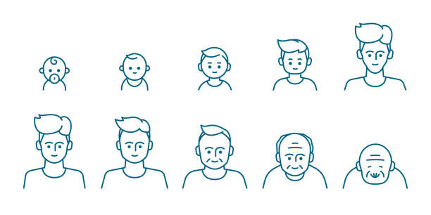 Male portrait at different ages, preschooler, kid, primary school, senior school, teenager, young, elderly illustration life cycle concept. Editable Vector Stroke. Male portrait at different ages, preschooler, kid, primary school, senior school, teenager, young, elderly illustration life cycle concept. Editable Vector Stroke. age diversity stock illustrations