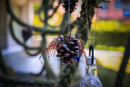 A closeup of a pinecone hanging on a fir branch as a decoration