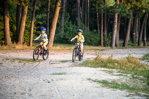 Two active little sibling boys having fun on bikes in forest on warm day. Healthy leisure with children concept.