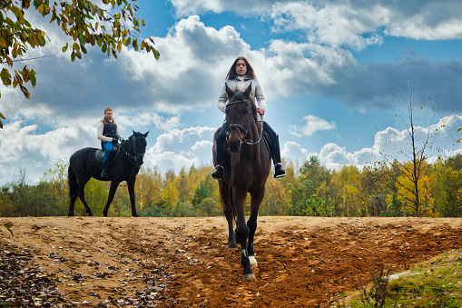 Couple man and woman on horses riding in fall forest by cloudy blue sky, rural scene. Riders on horseback in autumn park, countryside. Concept of leisure activity and recreation. Copy ad text space