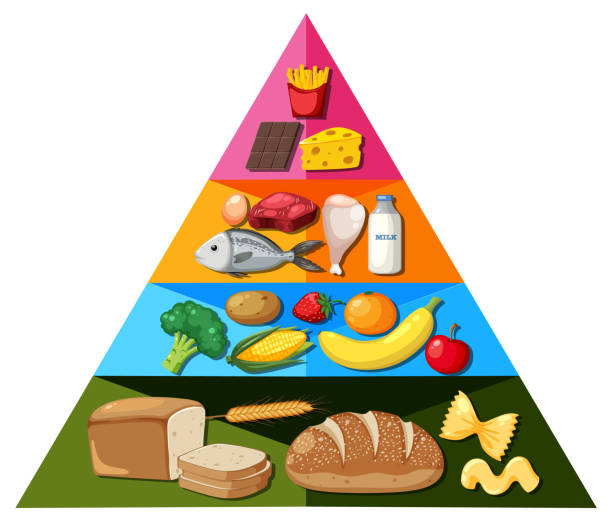 istock Cartoon Food Pyramid Infographic: A Visual Guide to Nutrition 1695012625