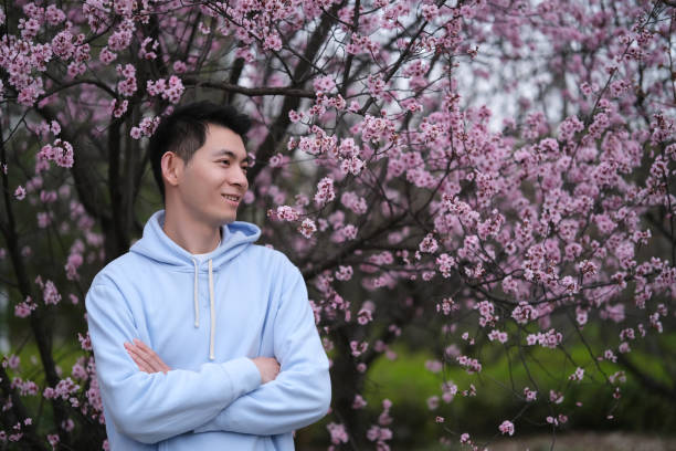 side face of handsome smile asian young man with pink sakura tree