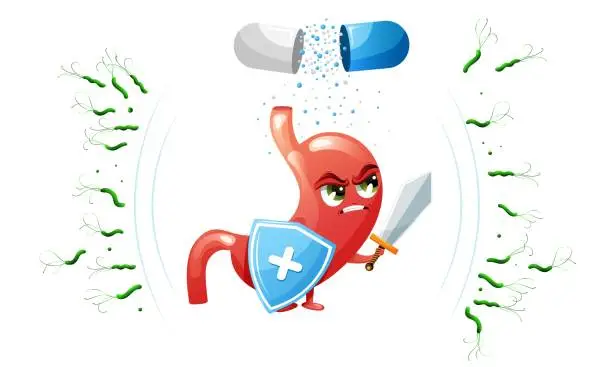 Vector illustration of Cartoon stomach character with shield, sword and pill against helicobacter pylori bacteria