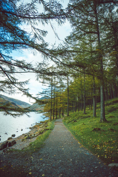 Lake District in UK in 2021. Amazing autumn colors in the valley and mist making nice light effects in the valley.