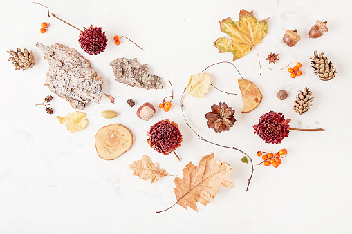 Heart shaped autumn-Inspire nature background - rowanberry, dried flowers, leaves, acorns, chestnuts, tree bark, cones top view
