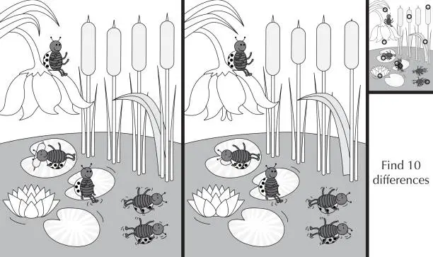 Vector illustration of Finding differences puzzle